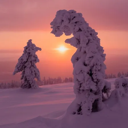 Roehkoestar 107 Appartement Äkäslompolo